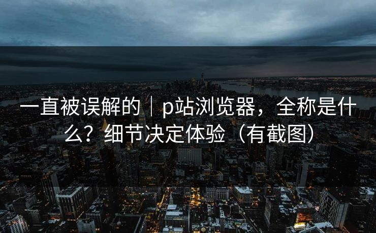 一直被误解的|p站浏览器,全称是什么?细节决定体验(有截图)