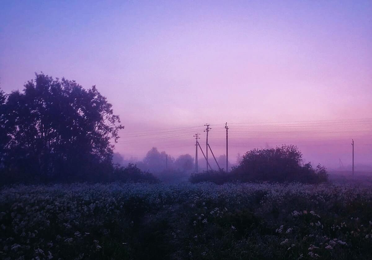 无人区码一码二码三码是什么意思？揭秘背后的奥秘