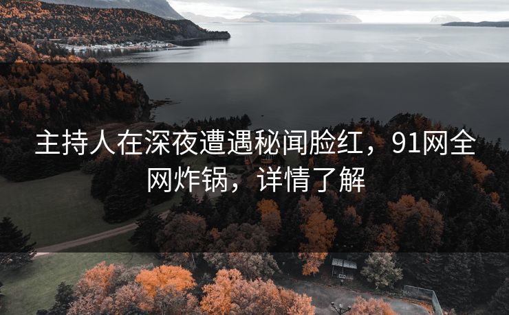 主持人在深夜遭遇秘闻脸红，91网全网炸锅，详情了解