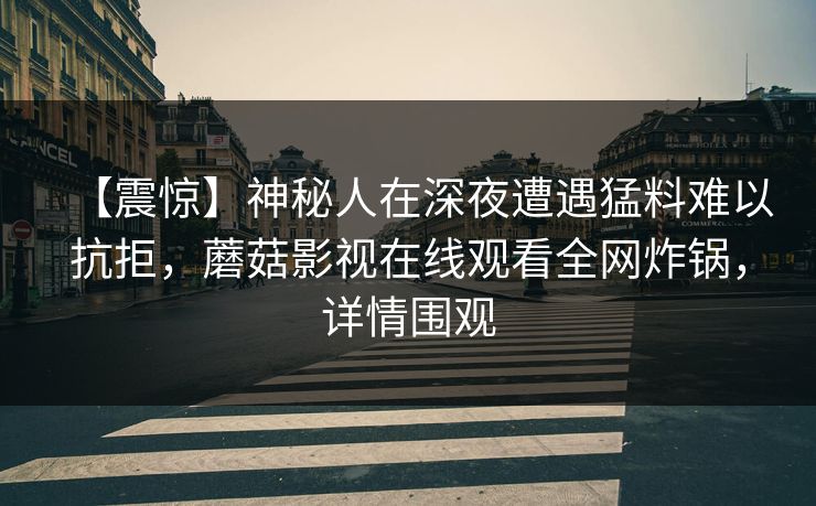 【震惊】神秘人在深夜遭遇猛料难以抗拒，蘑菇影视在线观看全网炸锅，详情围观